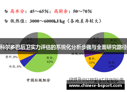 科尔多巴后卫实力评估的系统化分析步骤与全面研究路径