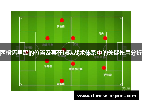 西格诺里踢的位置及其在球队战术体系中的关键作用分析