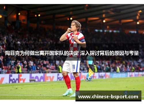 陶菲克为何做出离开国家队的决定 深入探讨背后的原因与考量