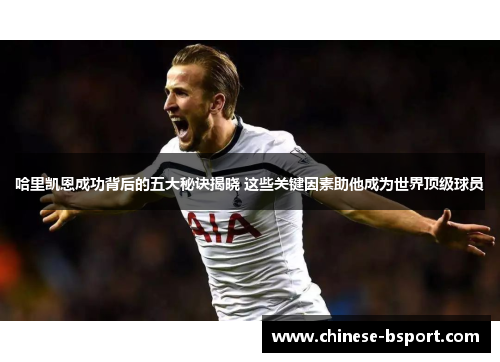 哈里凯恩成功背后的五大秘诀揭晓 这些关键因素助他成为世界顶级球员 哈里凯恩成功背后的五大秘诀揭晓 这些关键因素助他成为世界顶级球员