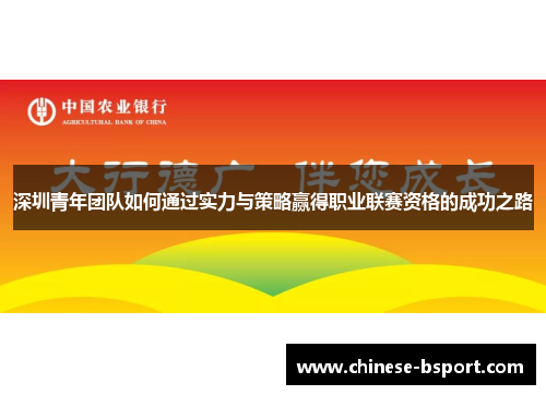 深圳青年团队如何通过实力与策略赢得职业联赛资格的成功之路