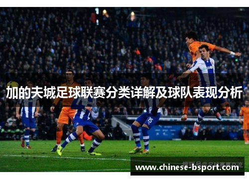 加的夫城足球联赛分类详解及球队表现分析