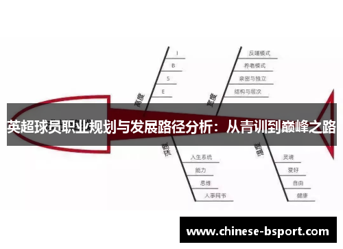 英超球员职业规划与发展路径分析:从青训到巅峰之路 英超球员职业规划与发展路径分析:从青训到巅峰之路