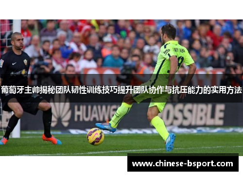 葡萄牙主帅揭秘团队韧性训练技巧提升团队协作与抗压能力的实用方法