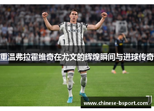 重温弗拉霍维奇在尤文的辉煌瞬间与进球传奇 重温弗拉霍维奇在尤文的辉煌瞬间与进球传奇