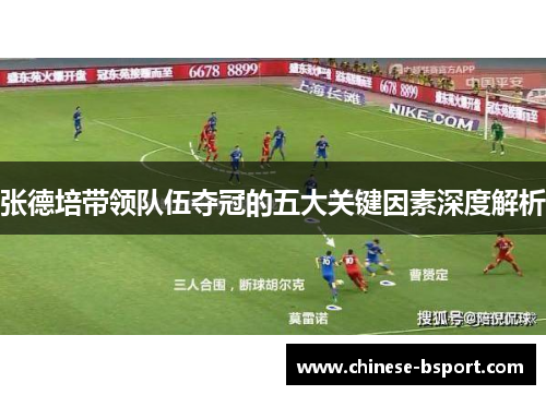 张德培带领队伍夺冠的五大关键因素深度解析