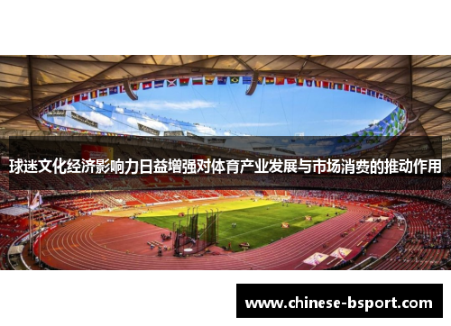 球迷文化经济影响力日益增强对体育产业发展与市场消费的推动作用