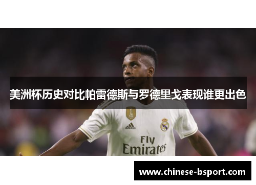 美洲杯历史对比帕雷德斯与罗德里戈表现谁更出色