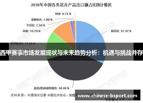 西甲赛事市场发展现状与未来趋势分析：机遇与挑战并存