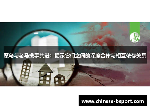魔鸟与老马携手共进：揭示它们之间的深度合作与相互依存关系