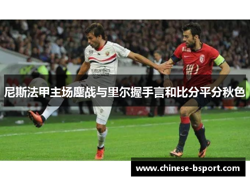 尼斯法甲主场鏖战与里尔握手言和比分平分秋色 尼斯法甲主场鏖战与里尔握手言和比分平分秋色